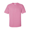 Custom Gildan Ultra Cotton Tee (2000)