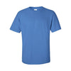 Custom Gildan Ultra Cotton Tee (2000)