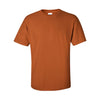 Custom Gildan Ultra Cotton Tee (2000)