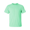 Custom Gildan Ultra Cotton Tee (2000)